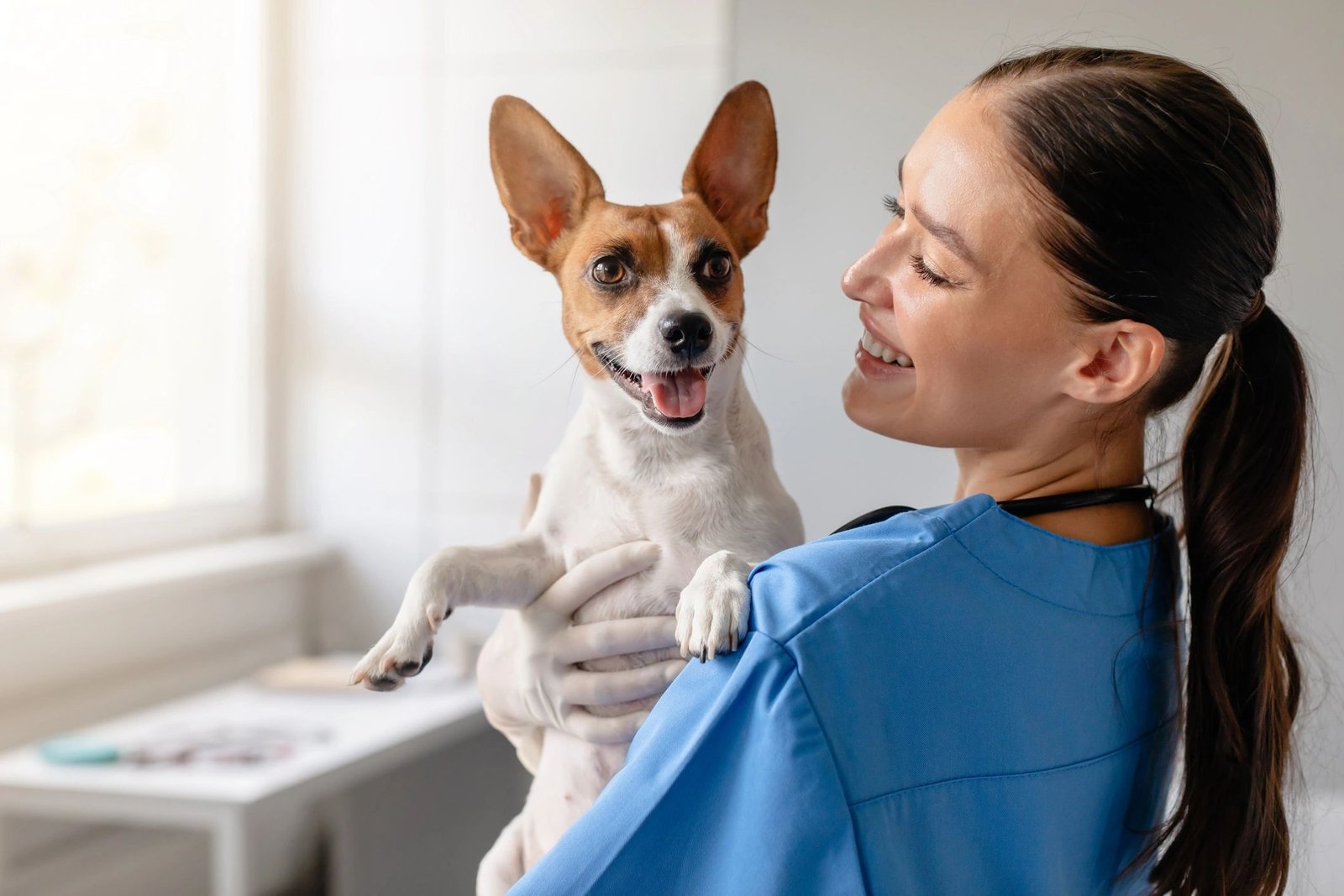 veterinarian with dog