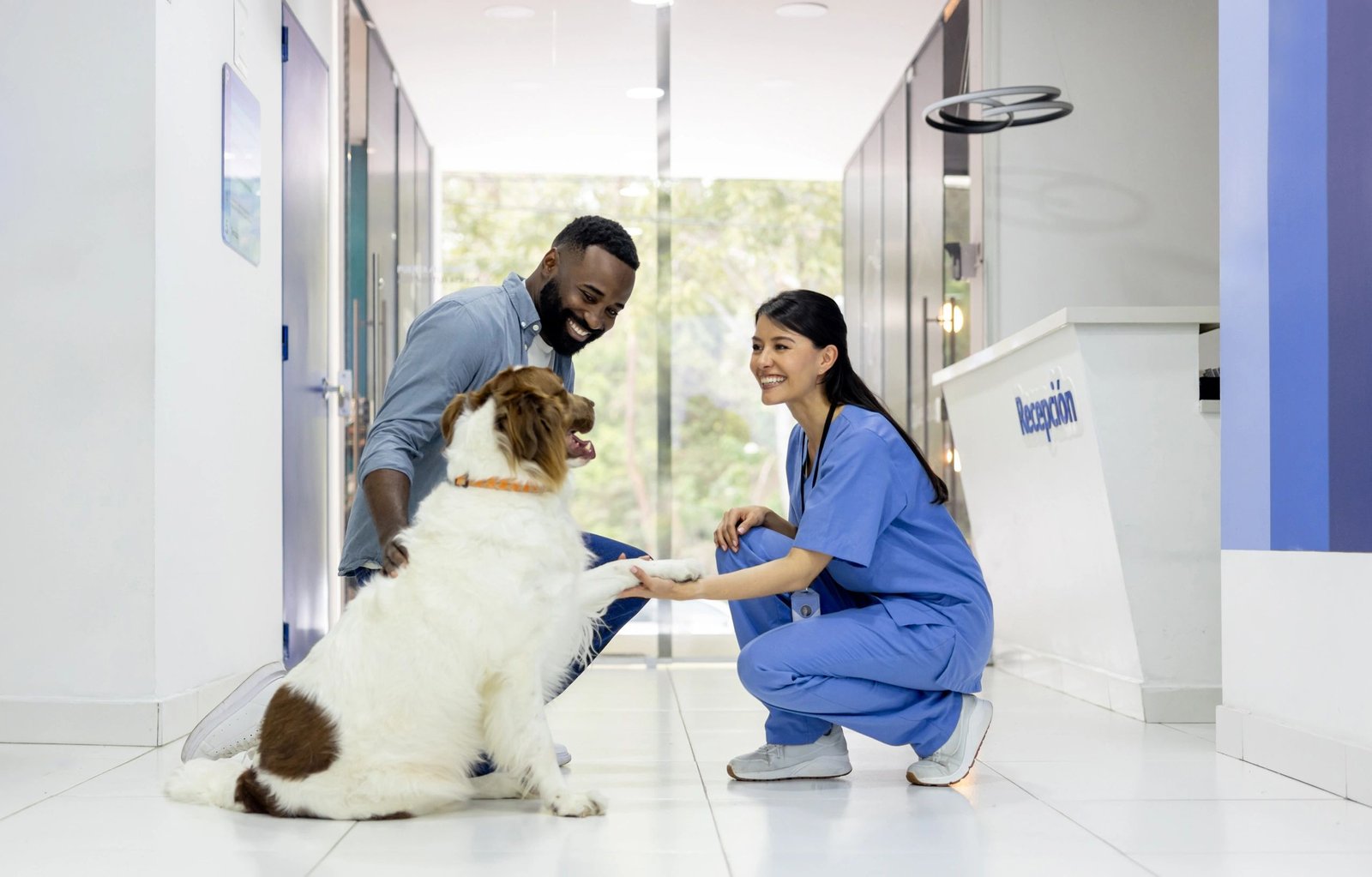 veterinarian with dog